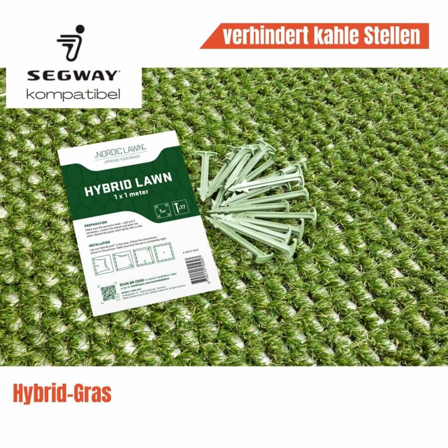 Das Hybrid-Gras verhindert kahle Stellen.