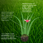 Premium-Rasensaat für sonnige und schattige Lagen – fördert tiefe Wurzelbildung, ideal für Nachsaaten und höchste Rasenansprüche