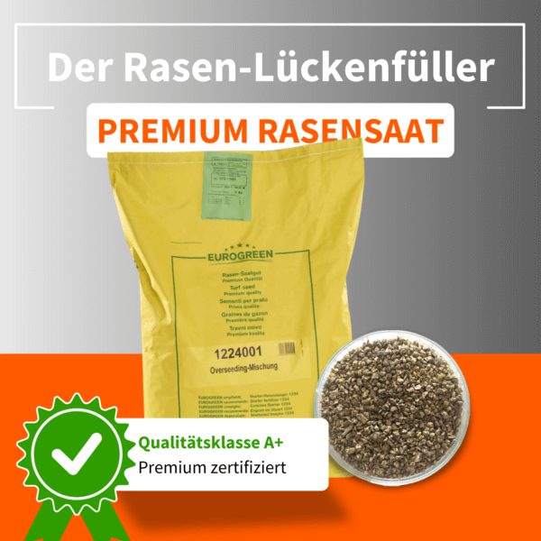 Eurogreen Premium Rasensaat zur Nachsaat – hochwertiges Rasen-Saatgut zur Rasenreparatur und Lückenfüllung mit Qualität A+ Zertifizierung