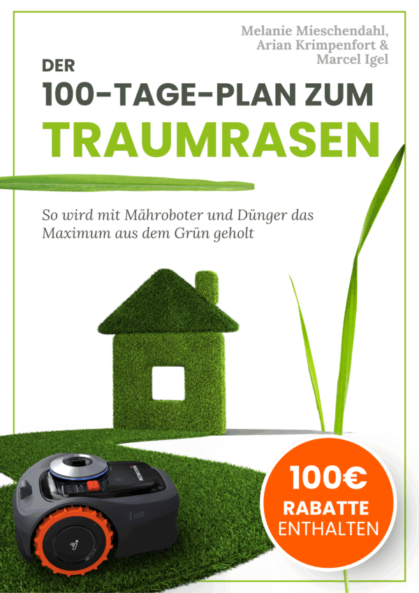 100 Tage Plan Maehen
