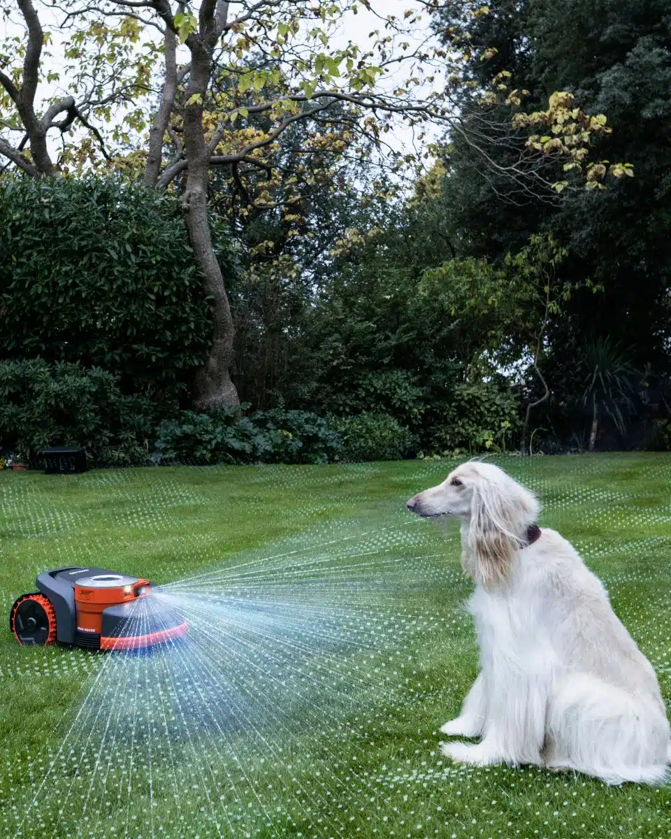 Segway Navimow Mähroboter mäht Rasen neben weißem Hund im Garten – sicherer Betrieb mit Hinderniserkennung